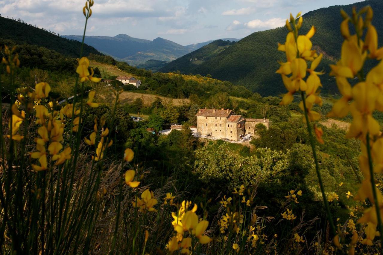 Country House Villa La Farfalla Pietralunga (Umbria) Exterior foto
